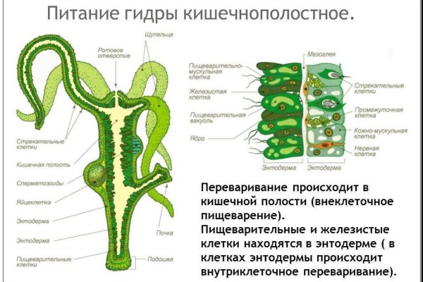 Kraken это что такое