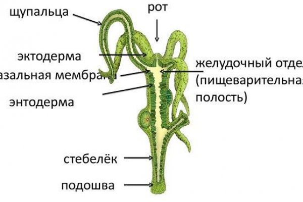 Ссылка на кракен kr2link co