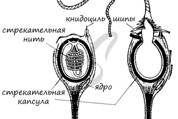 Кракен ссылка даркнет