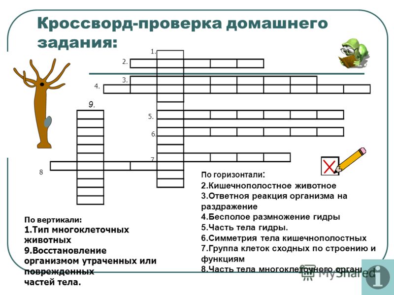 Кракен запрещенные вещества